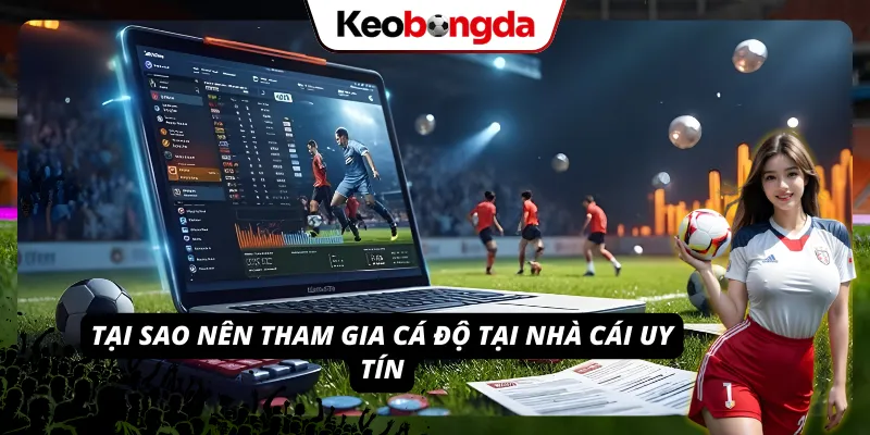 3 lý do nên cá độ tại trang web