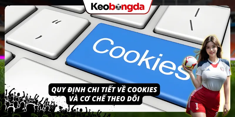 Những quy định trong chính sách bảo mật