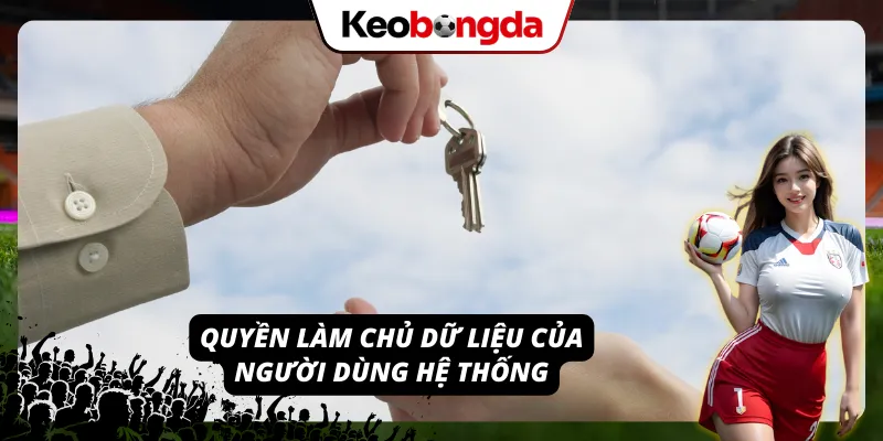 Quyền của người dùng hệ thống