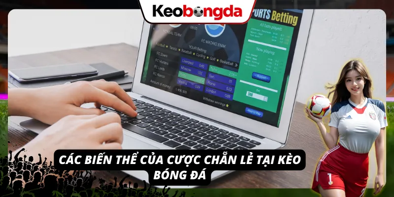 Giải Đáp Thắc Mắc Cho Câu Hỏi Muôn Thuở “Kèo Chẵn Lẻ Là Gì?” Các biến thể thường thấy nhất khi chơi kèo chẵn lẻ