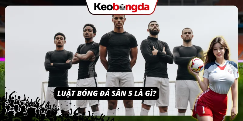Luật Bóng Đá Sân 5 - Hệ Thống Quy Định Chuẩn Khi Thi Đấu Tìm hiểu về các luật lệ dành cho sân 5 người