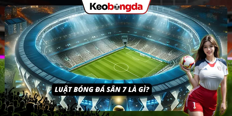 Luật Bóng Đá Sân 7 - Quy Tắc Thi Đấu Mà Ai Cũng Phải Biết Kiến thức nền tảng mà người chơi cần nắm về luật sân 7