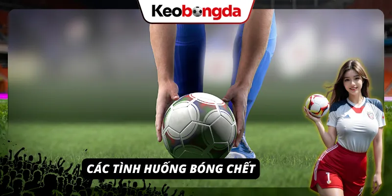 Luật Bóng Đá Thế Giới - Giải thích 17 điều luật chính thức từ IFAB Tình huống ném biên
