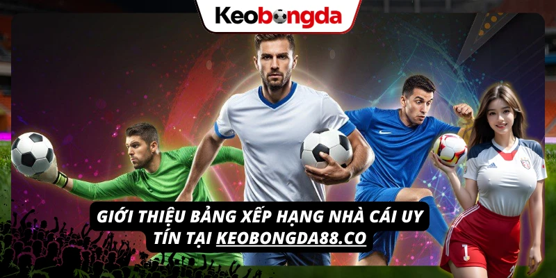 Tìm hiểu bảng xếp hạng các nhà cái uy tín hàng đầu tại 4design.tv