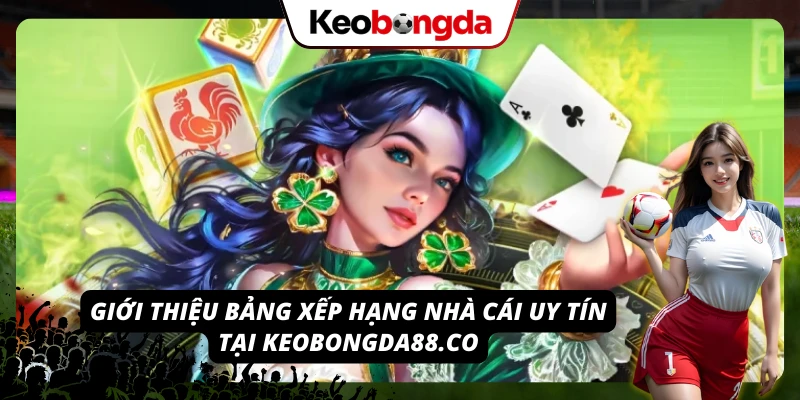 Khám phá bảng đánh giá các nhà cái uy tín tại 4design.tv