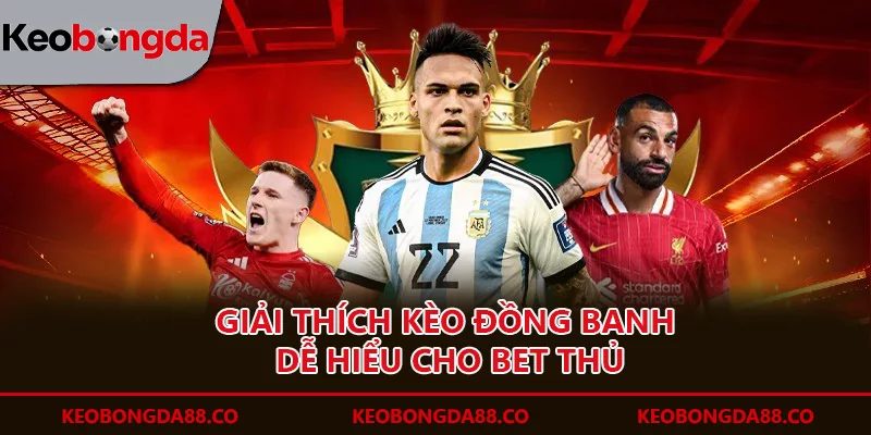 Giải thích kèo đồng banh dễ hiểu cho bet thủ