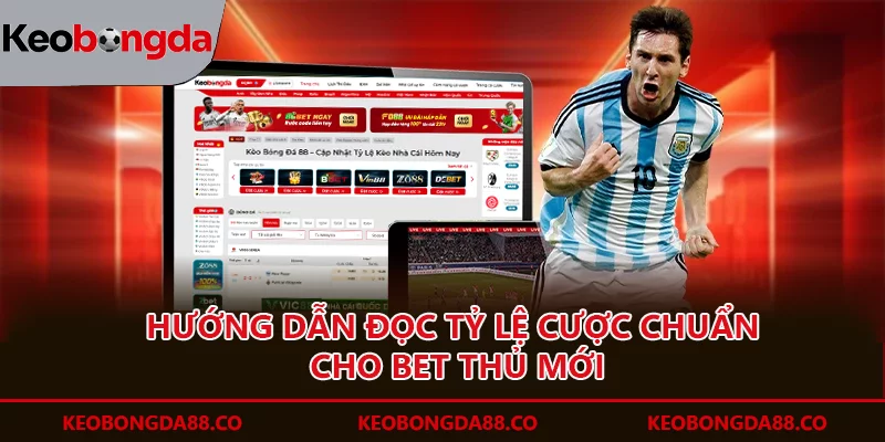 Hướng dẫn đọc tỷ lệ cược chuẩn cho bet thủ mới