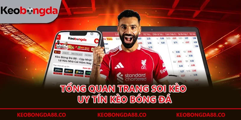 Tổng quan trang soi kèo uy tín Kèo Bóng Đá