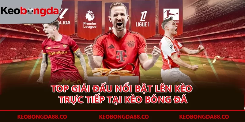 Các giải đấu lớn tại Kèo bóng đá
